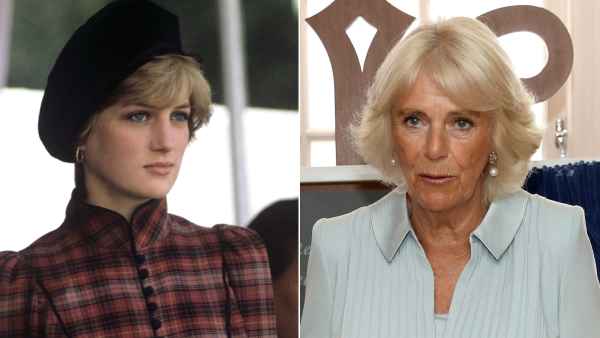 Princess Diana and Duchess Camilla