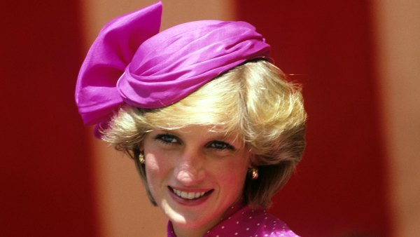 Princess Diana Pink Dress 1983
