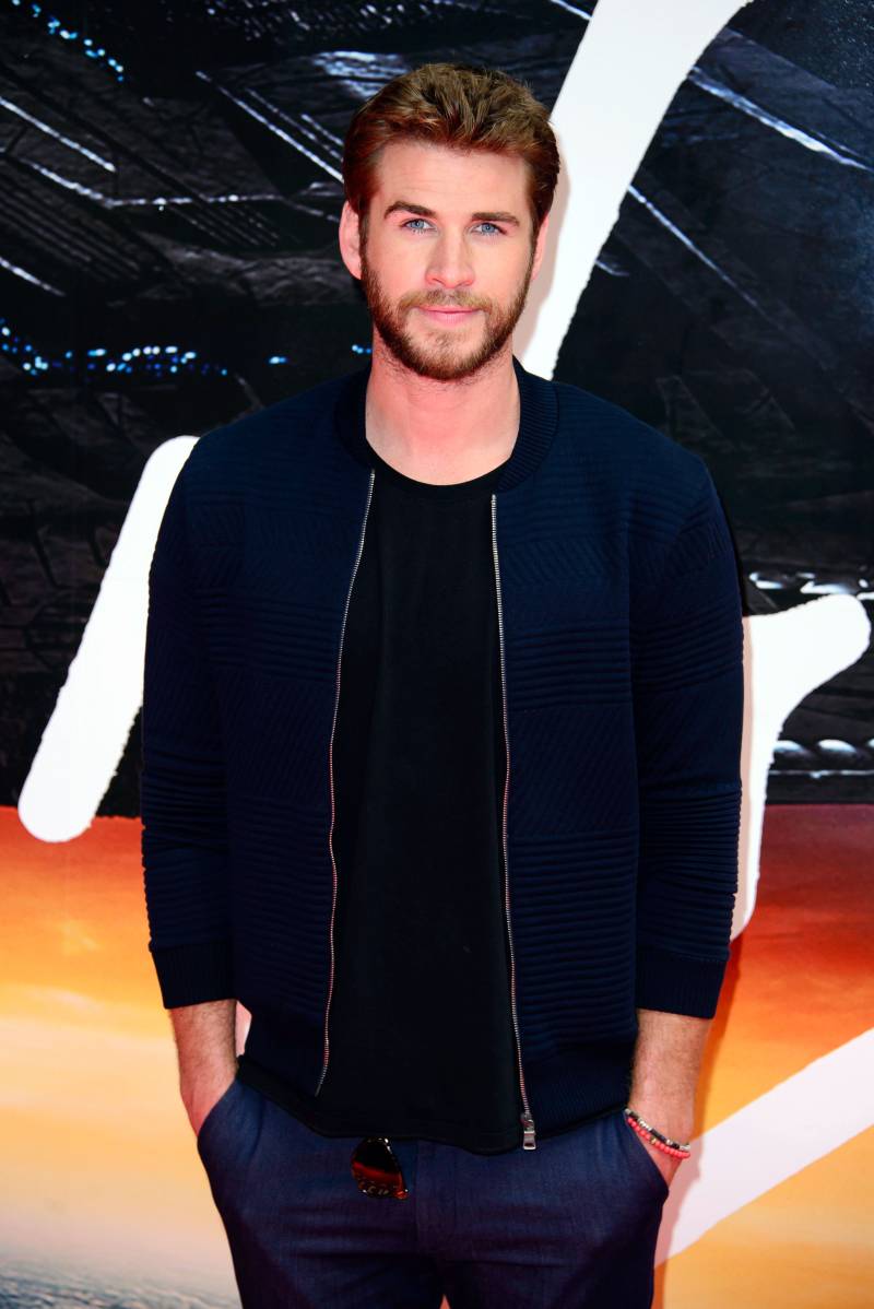 Liam Hemsworth Get to Know Hollywood's Most Eligible Bachelors