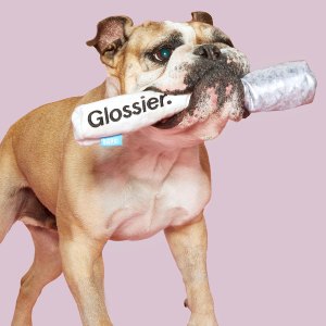 Glossier x BarkBox Collaboration