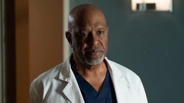 Grey's Anatomy Scoop James Pickens Jr.
