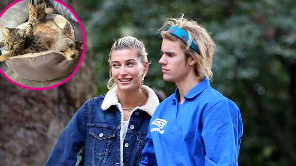 Justin Bieber and Hailey Baldwin Cats and Dog Instagram