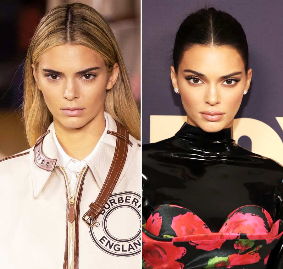 Kendall Jenner Hair Change Blonde to Brunette