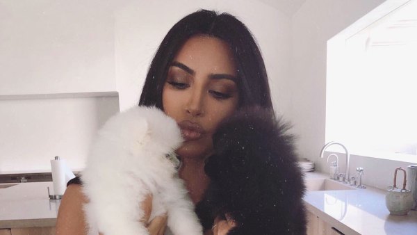 Kim Kardashian Introduces New Pups
