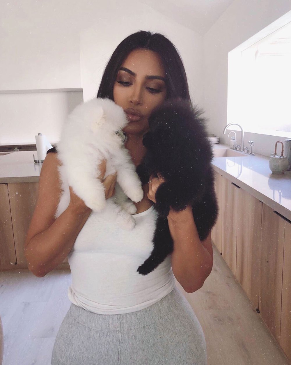 Kim Kardashian Shares Adorable Photos of New Pomeranian Puppies