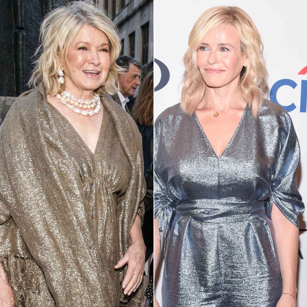 Martha Stewart Judges Chelsea Handler&rsquo;s Copycat Pic With Dogs