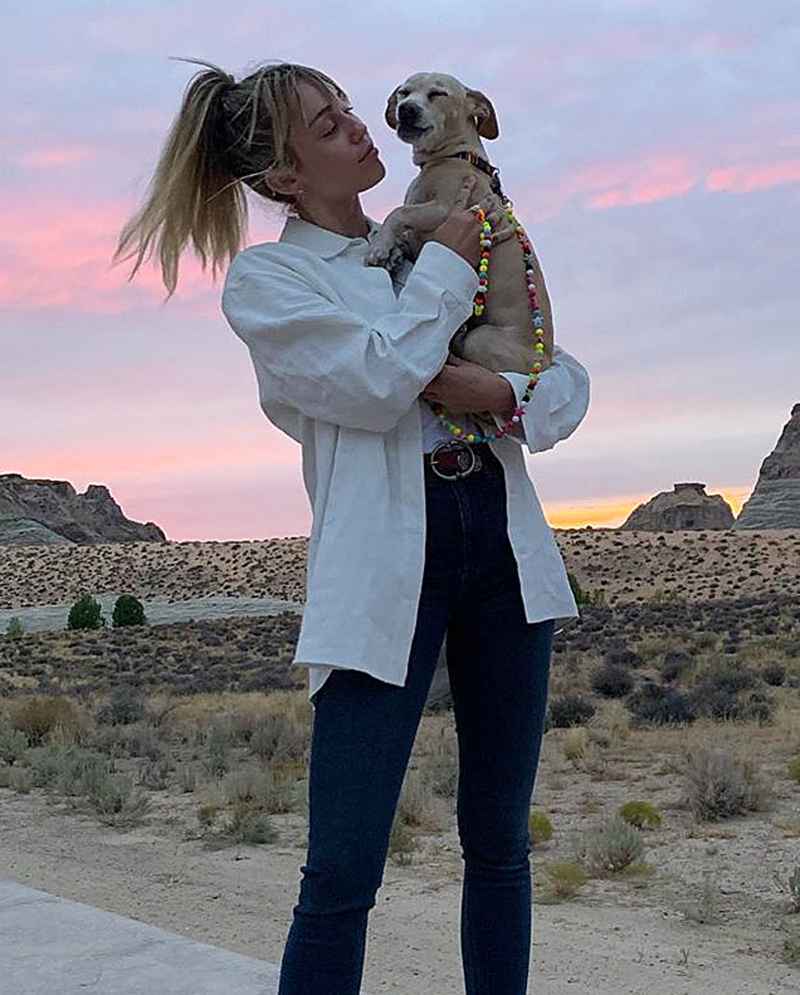 Miley Cyrus Hikes and Gets Massage With Her Dog Bean
