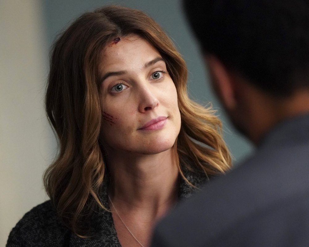Stumptown 5 New Fall TV Shows Worth Watching