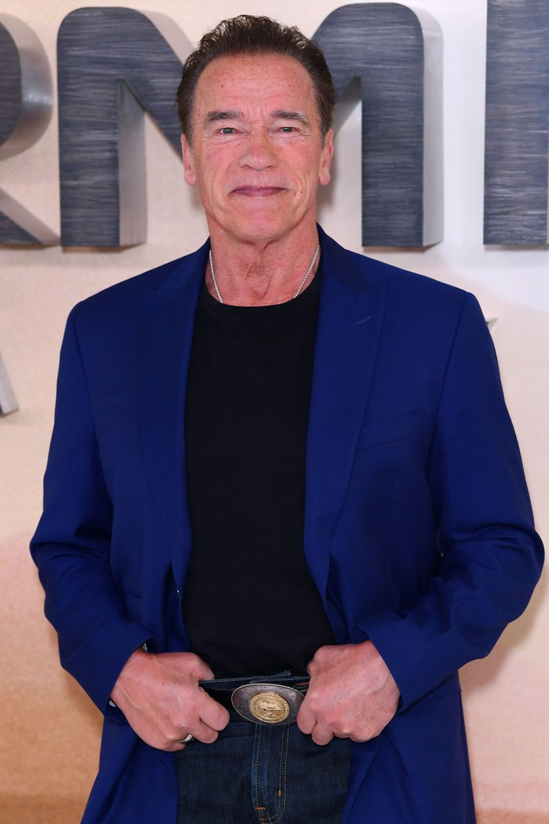 Arnold Schwarzenegger Stars Evacuate Homes Due to California Wildfires