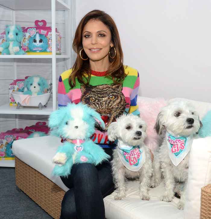 Bethenny Frankel Memory of Late Ex Dennis Shields Lives on in Our Dogs