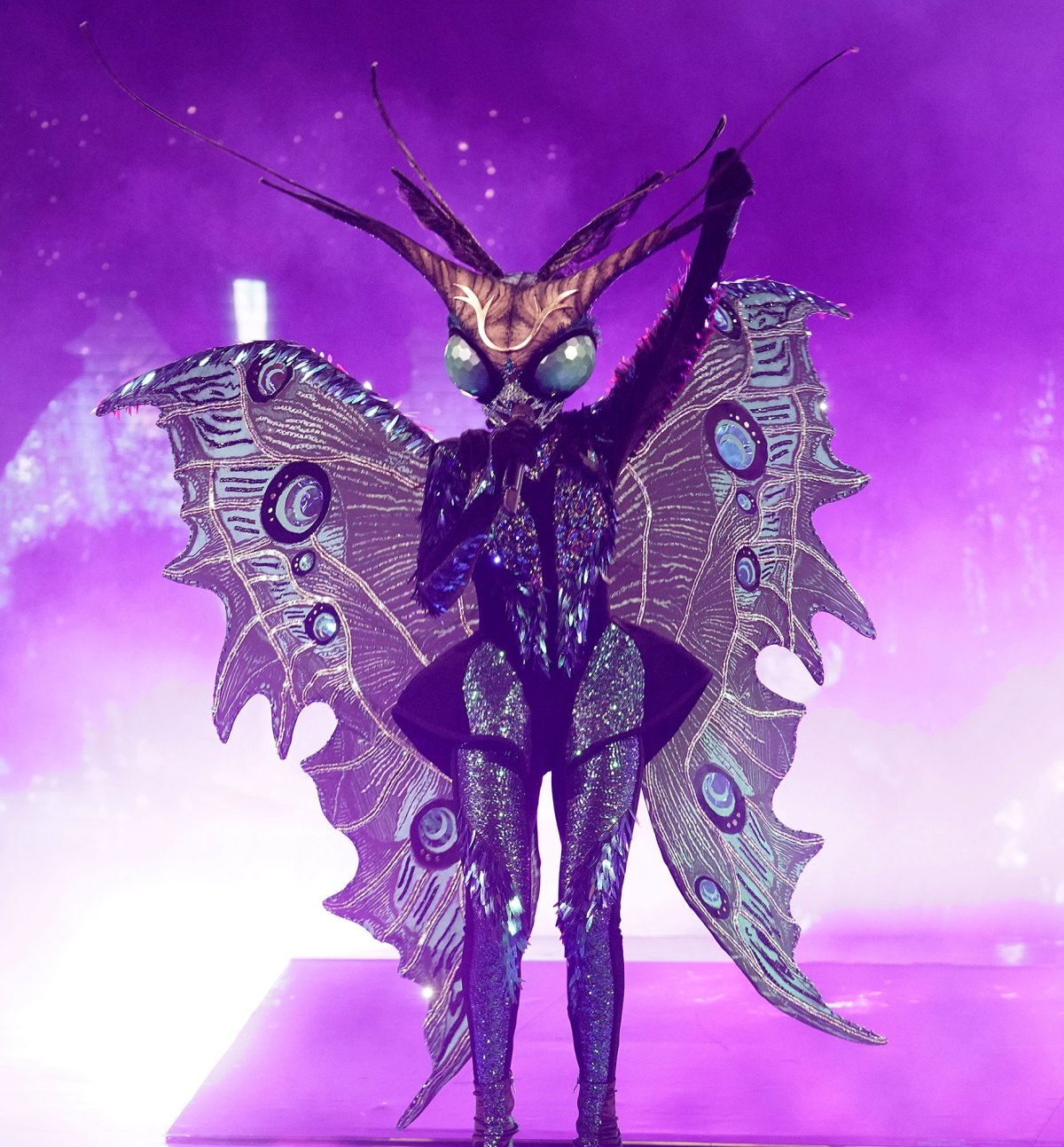 Бабочка в шоу маска песни. Шоу маска бабочка. Костюм бабочки-мотылька. The masked Singer бабочка. Костюм ночной бабочки.