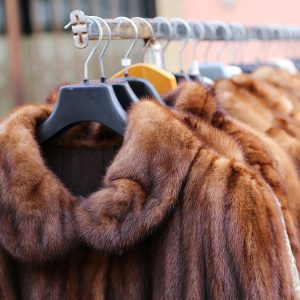 California First State to Ban Sale of Fur