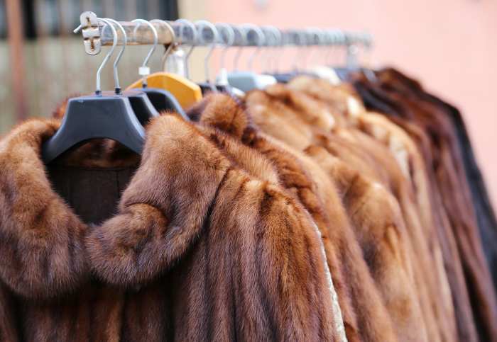 California First State to Ban Sale of Fur