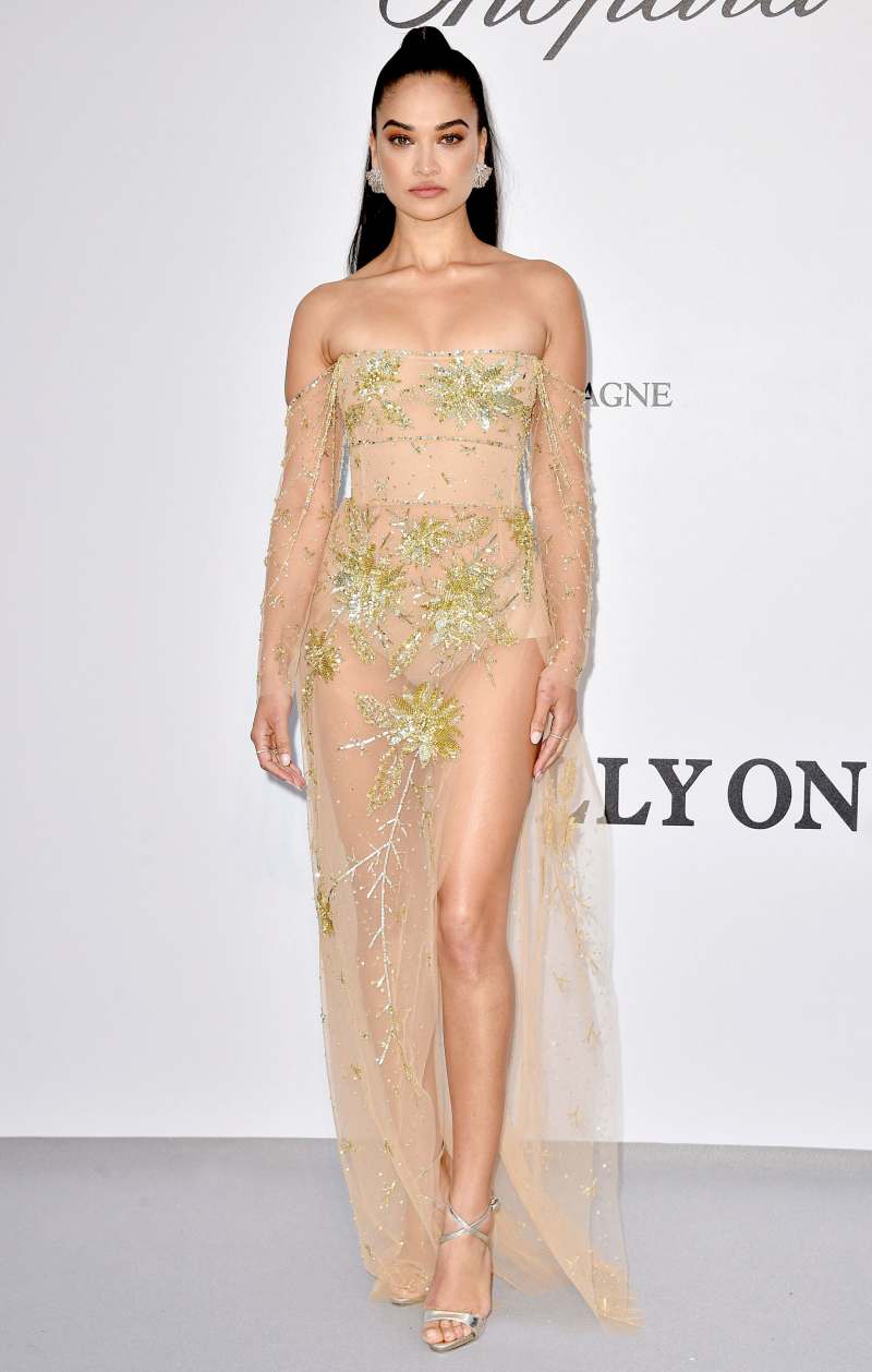 Celebs Wearing Georges Hobeika - Shanina Shaik May 23, 2019