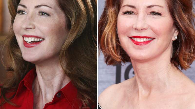 Dana Delany Desperate Housewives Where Are They Now