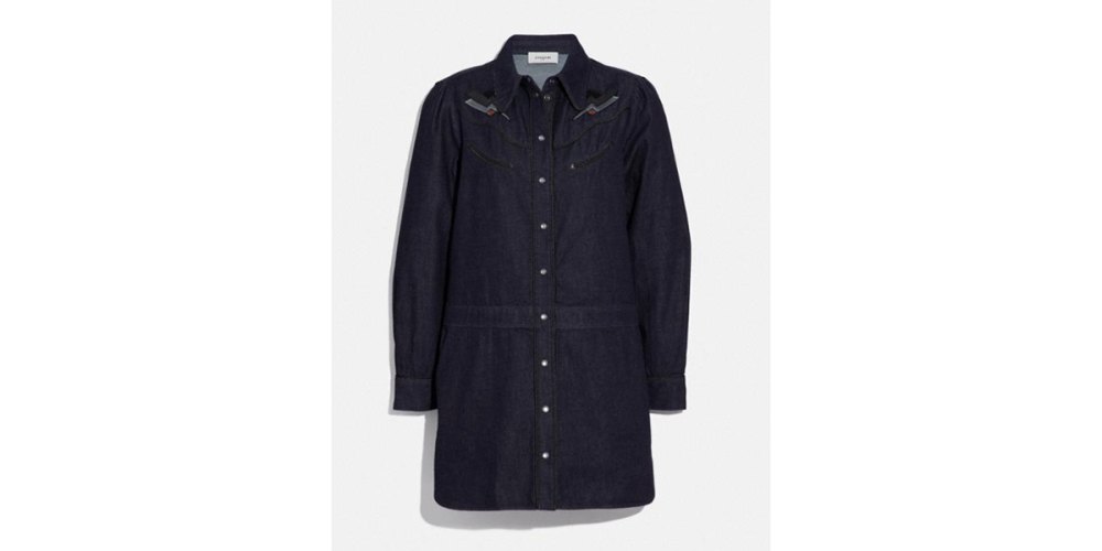 Denim-Dress-Coach
