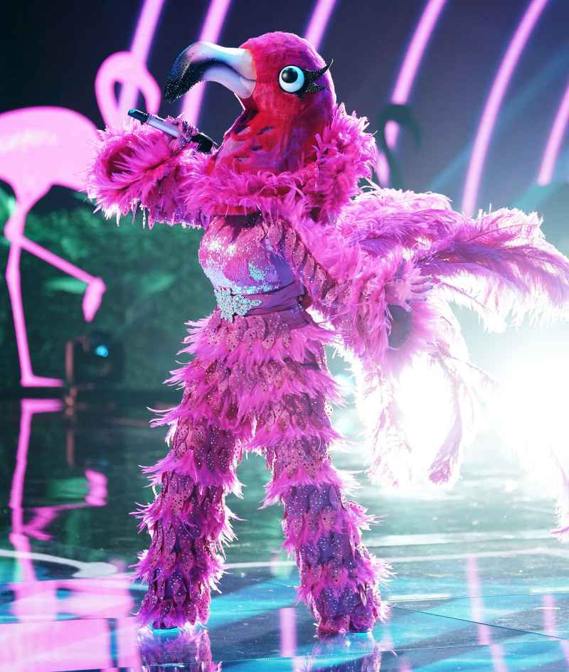 Flamingo Masked Singer Season 2 Two Costume Dress Up Singing Onstage