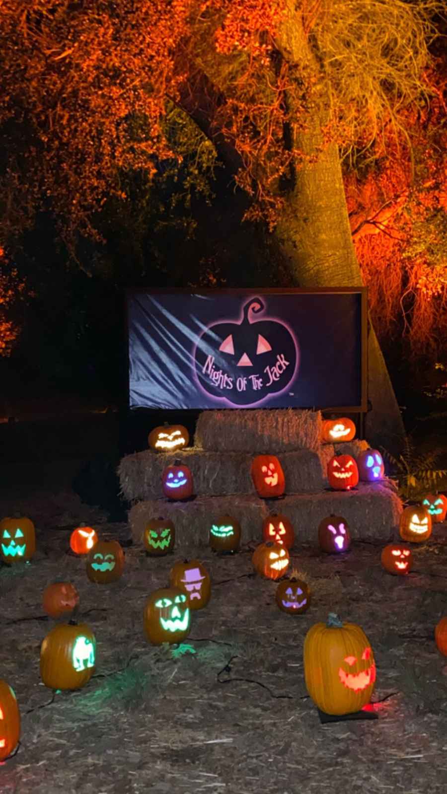 Kanye West and Kim Kardashian Nights of the Jack Fall Family Fun Gallery Halloween Carved Pumpkin KLights Jack o Lantern
