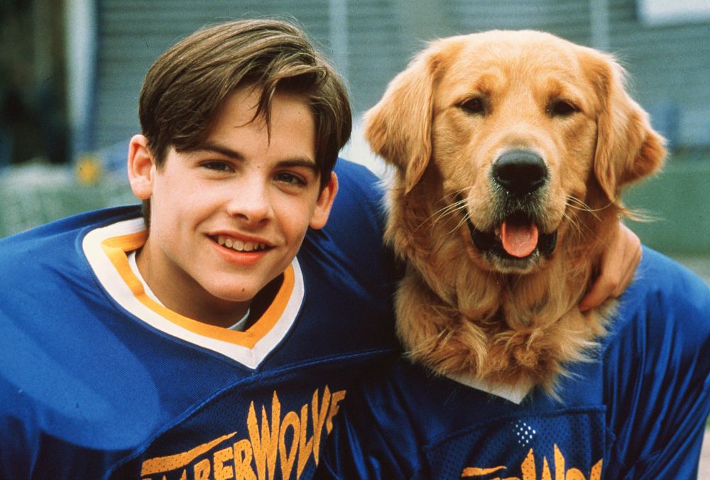 Kevin-Zegers-Airbud