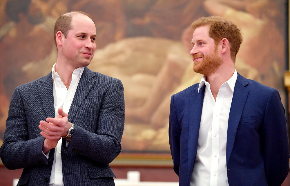 Prince William Will Be Supportive of Prince Harry's Legal Action