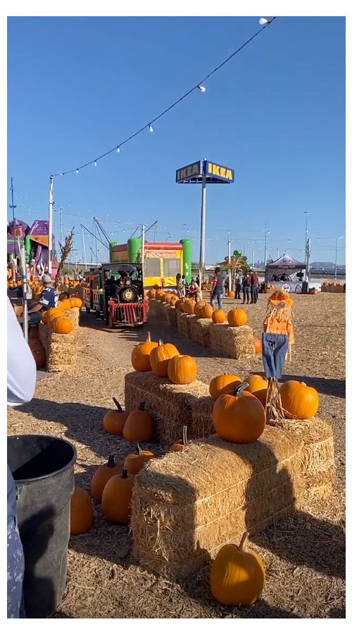 Ronnie Ortiz-Magro Visits Pumpkin Patch With His Daughter Ariana