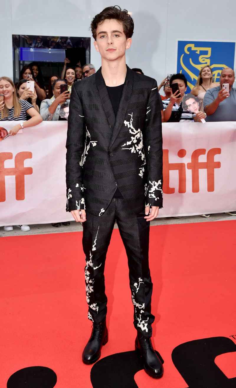 Timothee Chalamet Best Red Carpet Moments