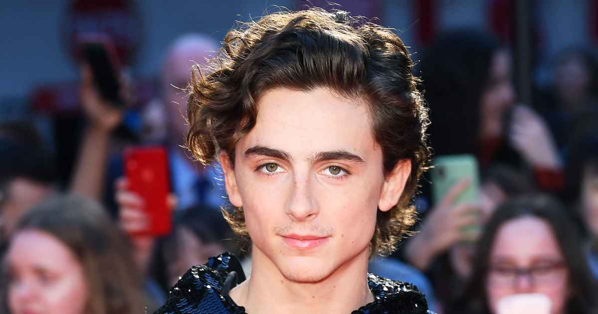 Timothée Chalamet & His Sequined Hoodie Will Make You Bow Down