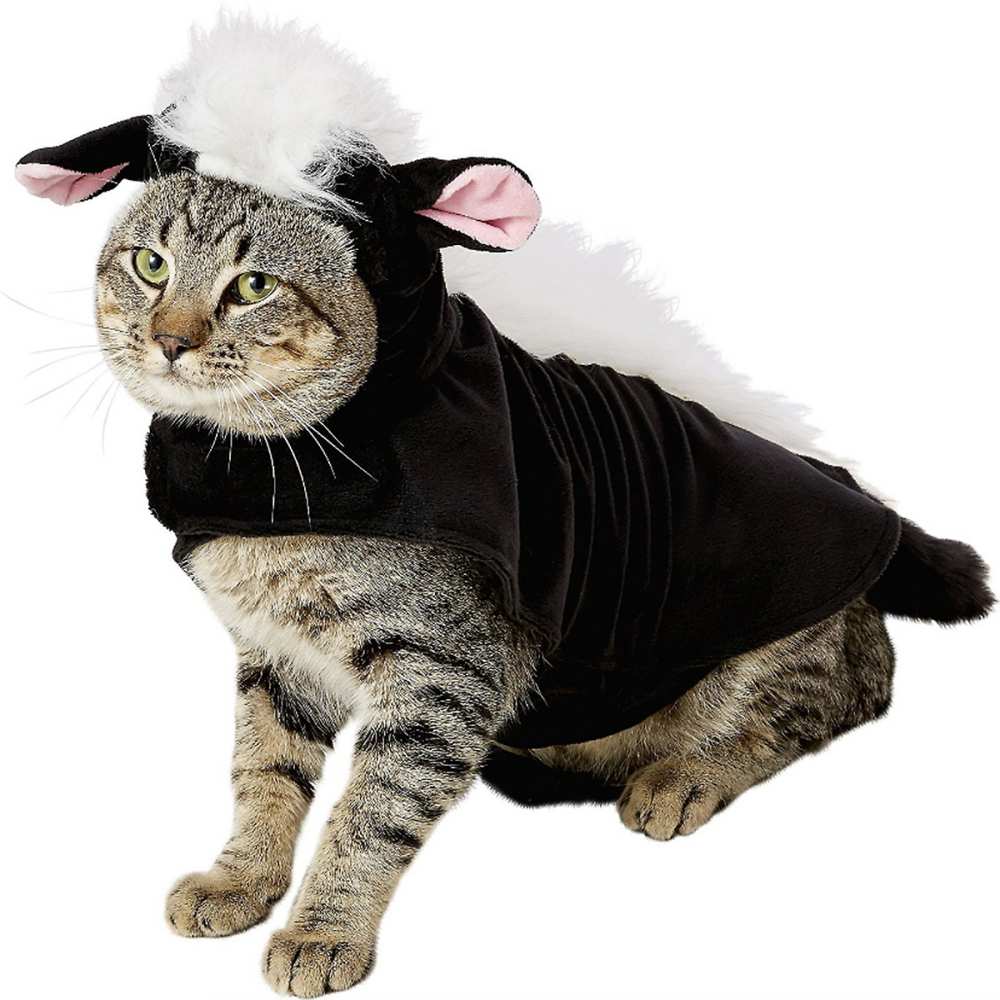 cat skunk costume