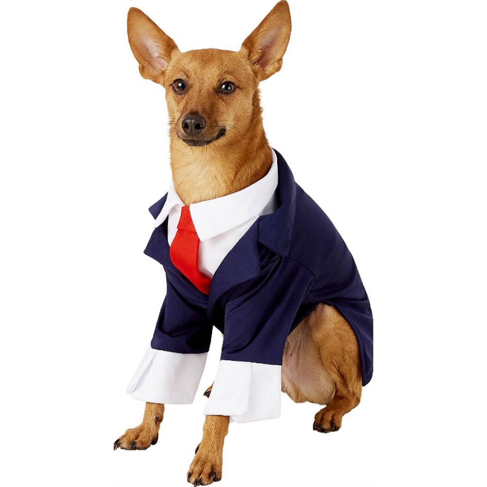dog business costume