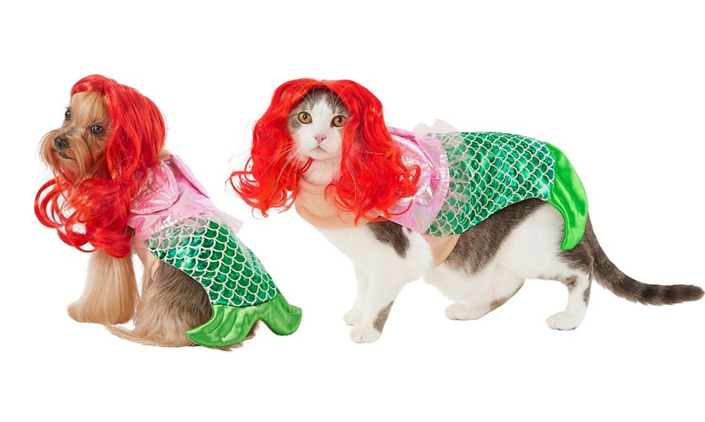 dog cat little mermaid costume