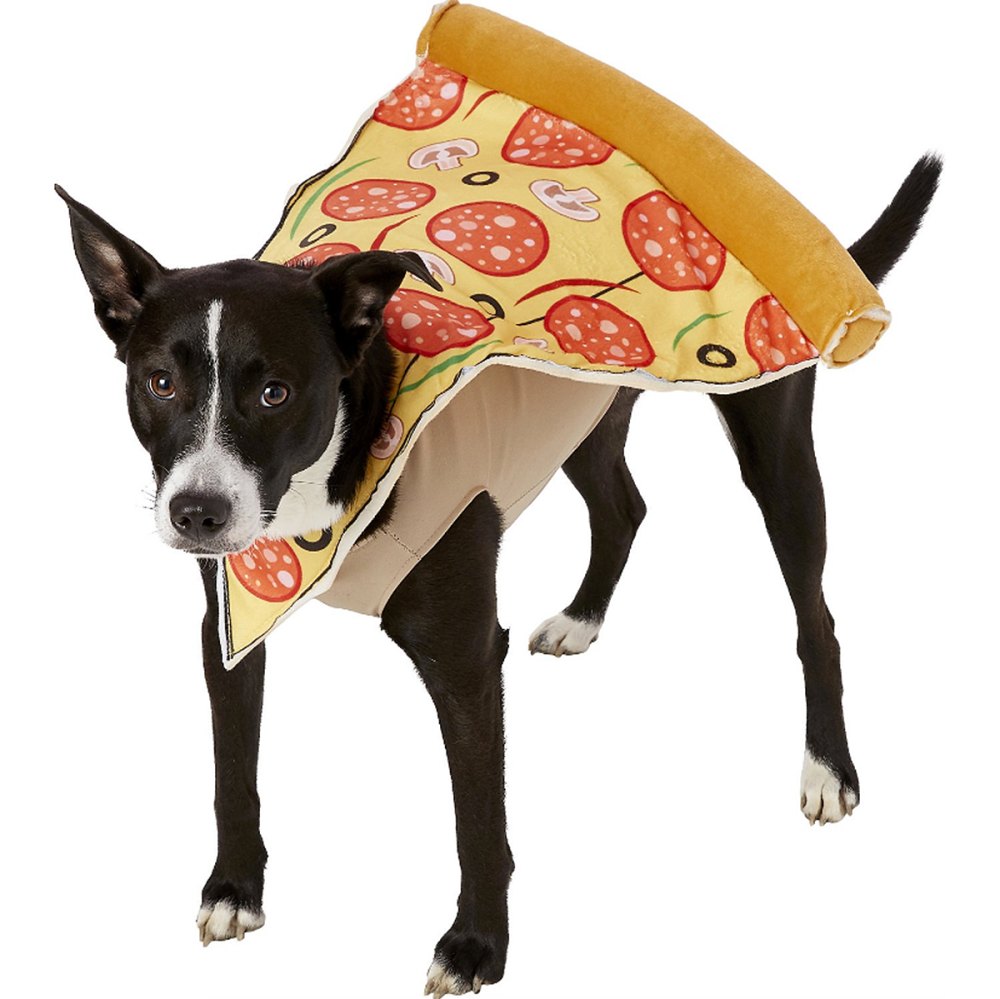 dog pizza costume