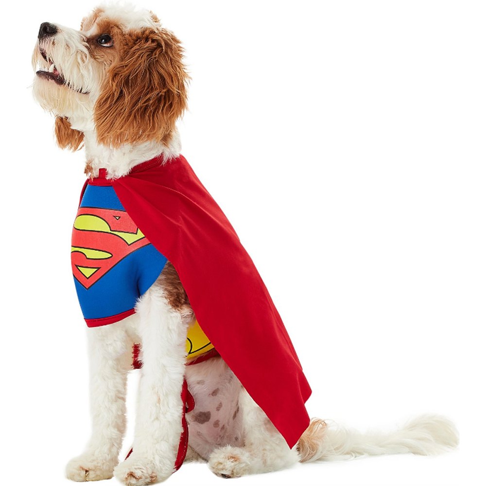 dog superman costume