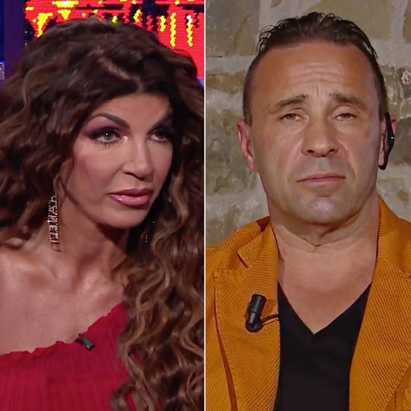 Revelations From Teresa and Joe Giudice's Interview With Andy Cohen