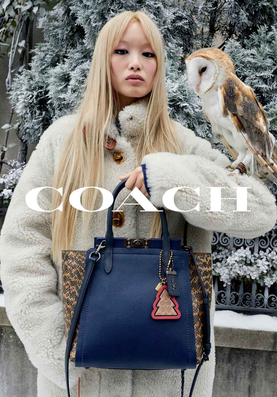 2019 Coach Holiday Campaign