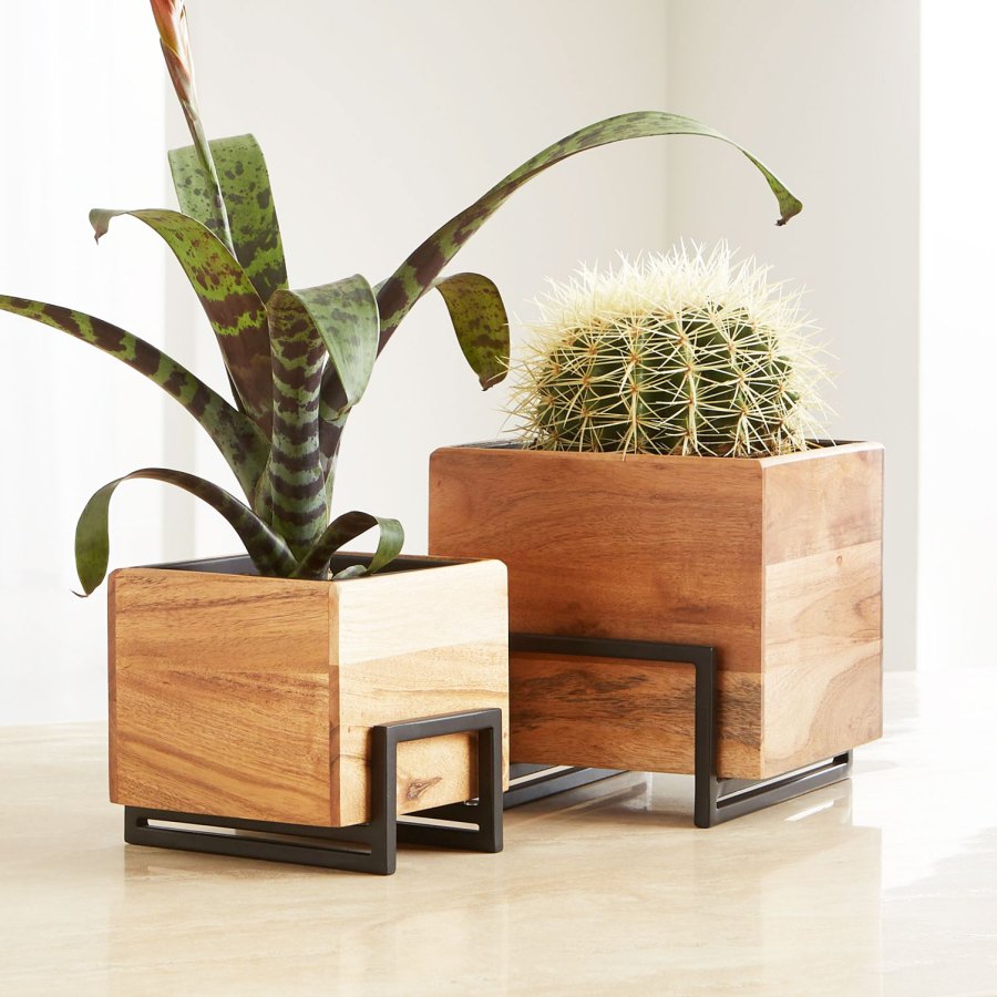 Arcaydia Tabletop Planters Crate and Barrel