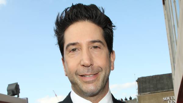 David Schwimmer, 53, Is Dating a 29-Year-Old He Met at a Bar