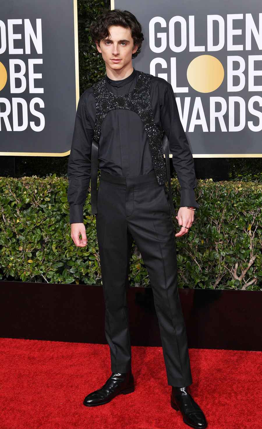 Most Influencial Dressers 2019 - Timothee Chalamet