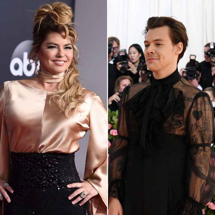 Shania Twain Wants to Write a Song With Her Fan Harry Styles