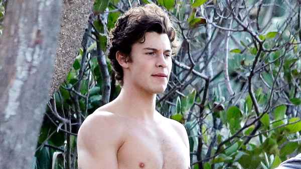 Shawn Mendes Goes Shirtless Australia Beach With Friends
