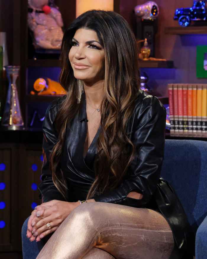 Teresa Giudice Opens Up About Going Through IVF
