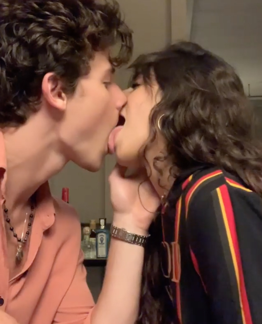 This Is What Camila Cabello Thinks About Her PDA With Shawn Mendes