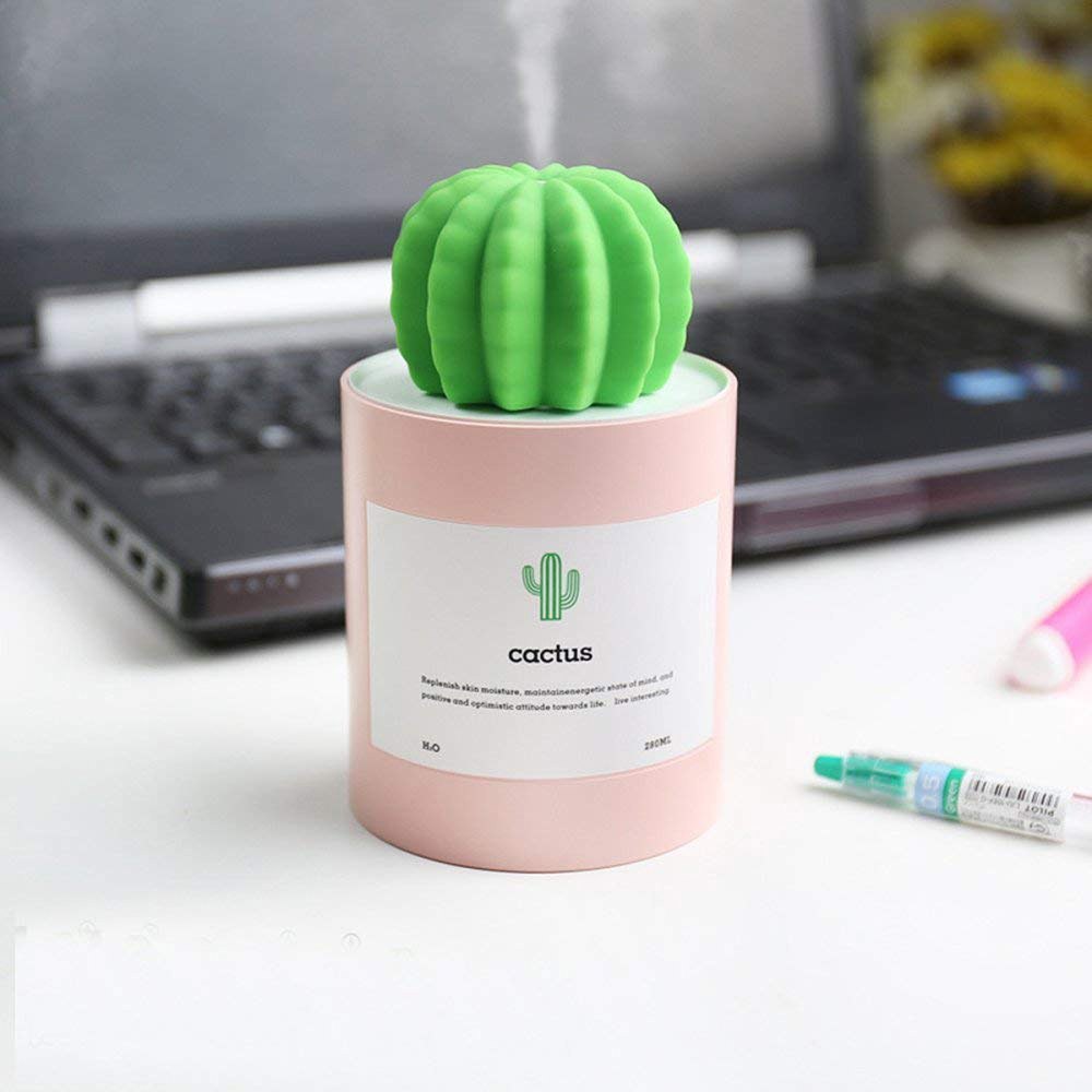 cactus-humidifier