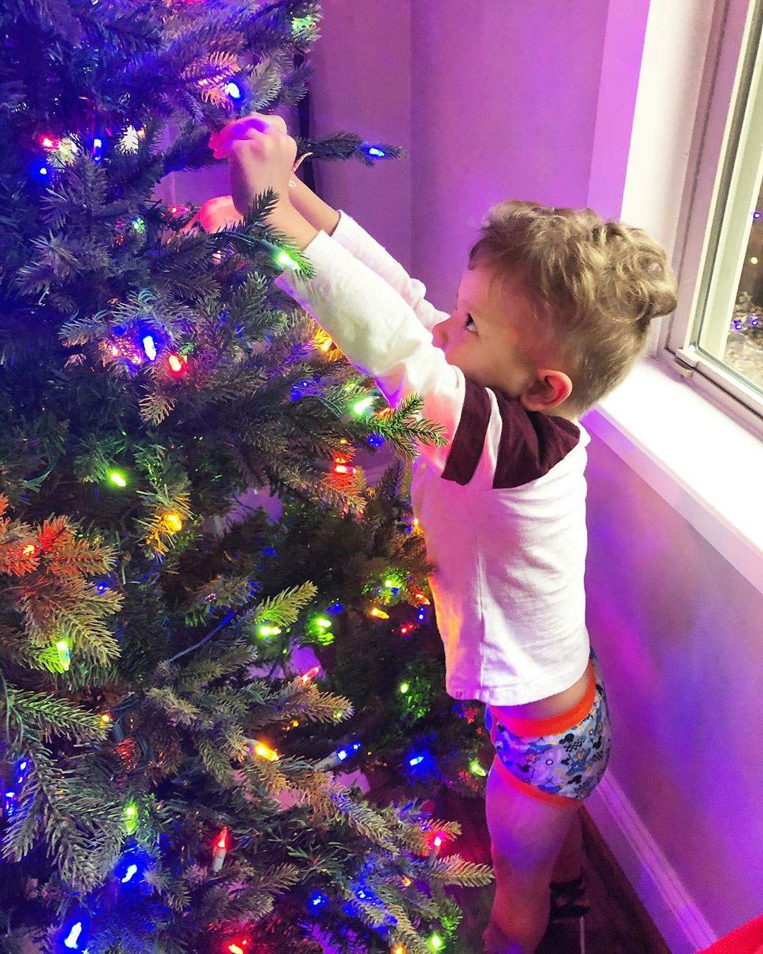 Catherine Giudici and Sean Lowe Celebrity Kids Helping Pick and Decorate Christmas Trees