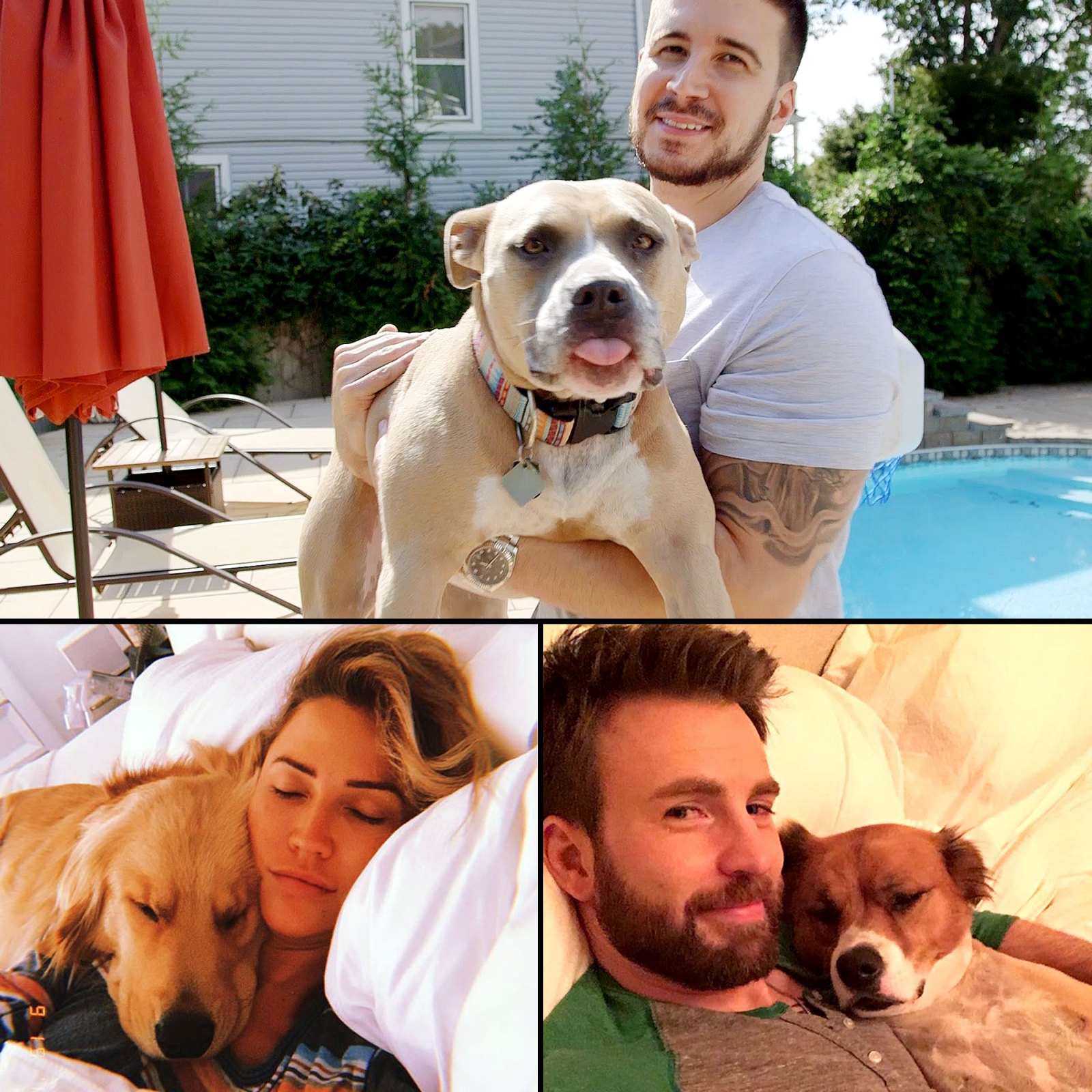 Celebs Whose Dogs Helped Them Through Dark Times