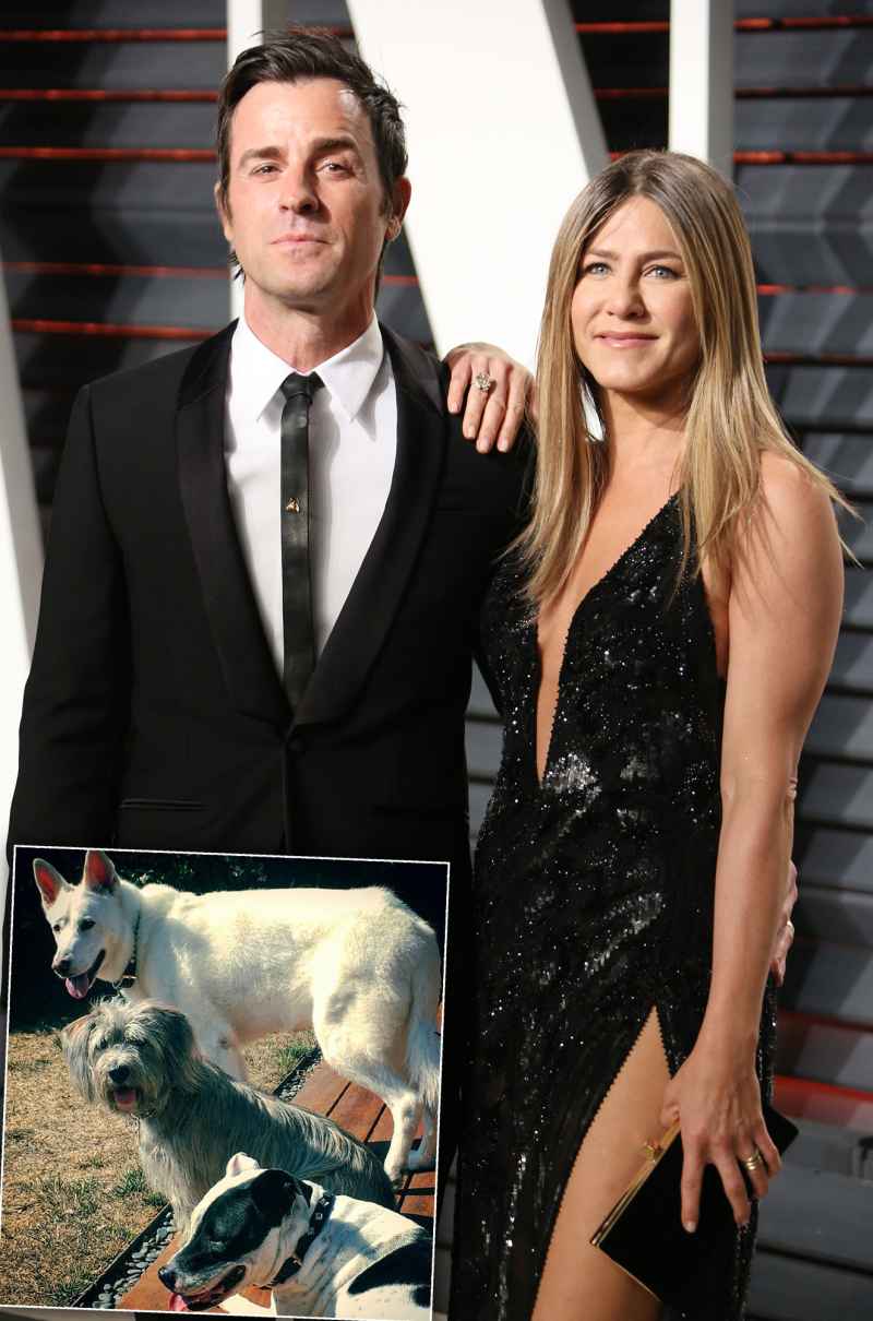 Celebs Whose Dogs Were Featured in Their Weddings