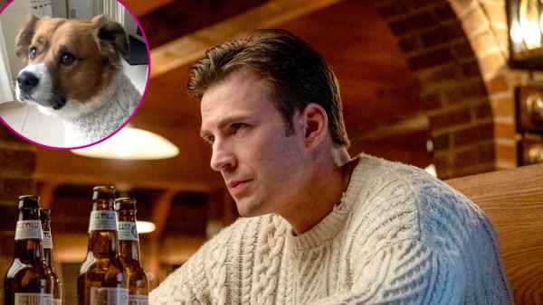 Chris Evans Knives Out Sweater dog