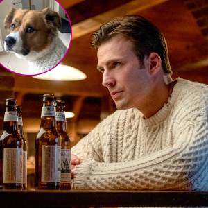 Chris Evans Knives Out Sweater dog