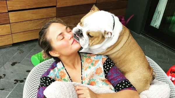 Chrissy Teigen Is Rightfully Obsessed With Her Bulldog