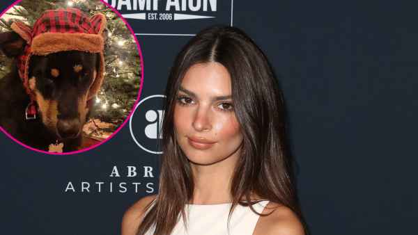 Emily Ratajkowski Puts Her Adorable Dog Colombo in Winter Hat