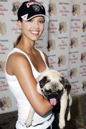 Funniest Celebrity Dog Names: Sid Vicious, Sirius Black and More | Us